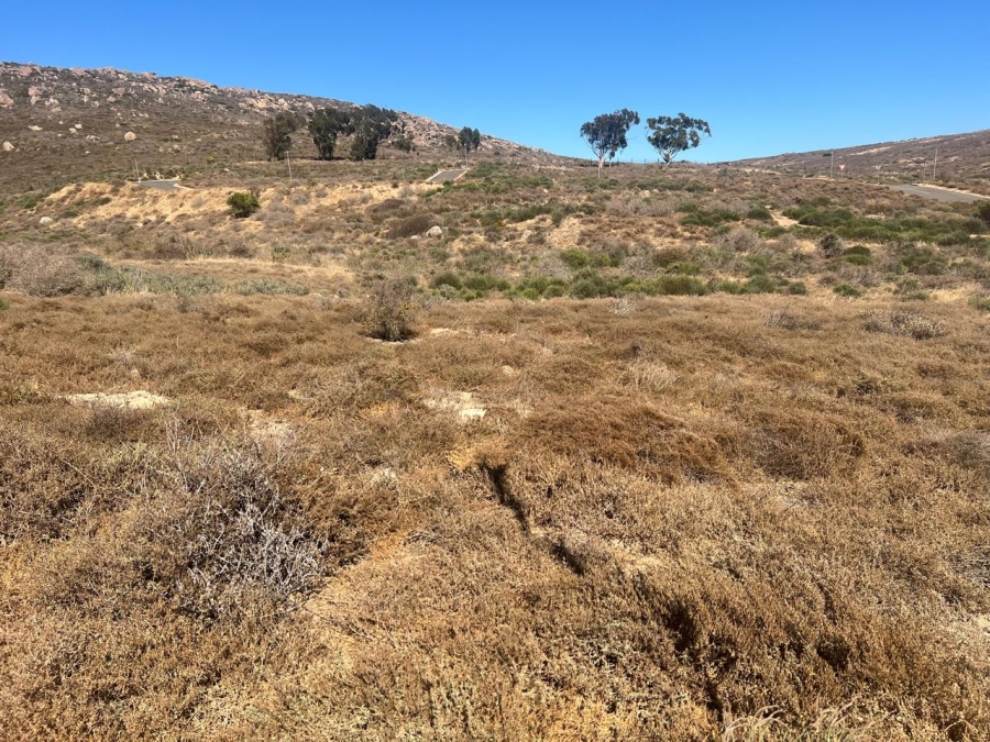 Commercial Property for Sale in St Helena Views Western Cape